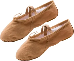 2 Pairs Ballet Shoes Slippers Ballet Practice Shoes Shoes Girls Ballet Flats Ballet Dancer Shoes Flats Canvas Dance Shoes Yoga Shoes Princess Girl Child cat Claw Shoes