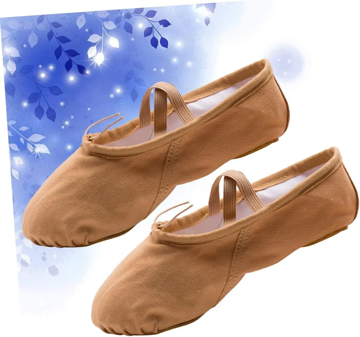 2 Pairs Ballet Shoes Slippers Ballet Practice Shoes Shoes Girls Ballet Flats Ballet Dancer Shoes Flats Canvas Dance Shoes Yoga Shoes Princess Girl Child cat Claw Shoes