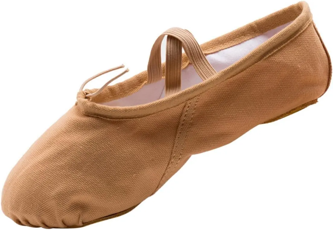 2 Pairs Ballet Shoes Slippers Ballet Practice Shoes Shoes Girls Ballet Flats Ballet Dancer Shoes Flats Canvas Dance Shoes Yoga Shoes Princess Girl Child cat Claw Shoes