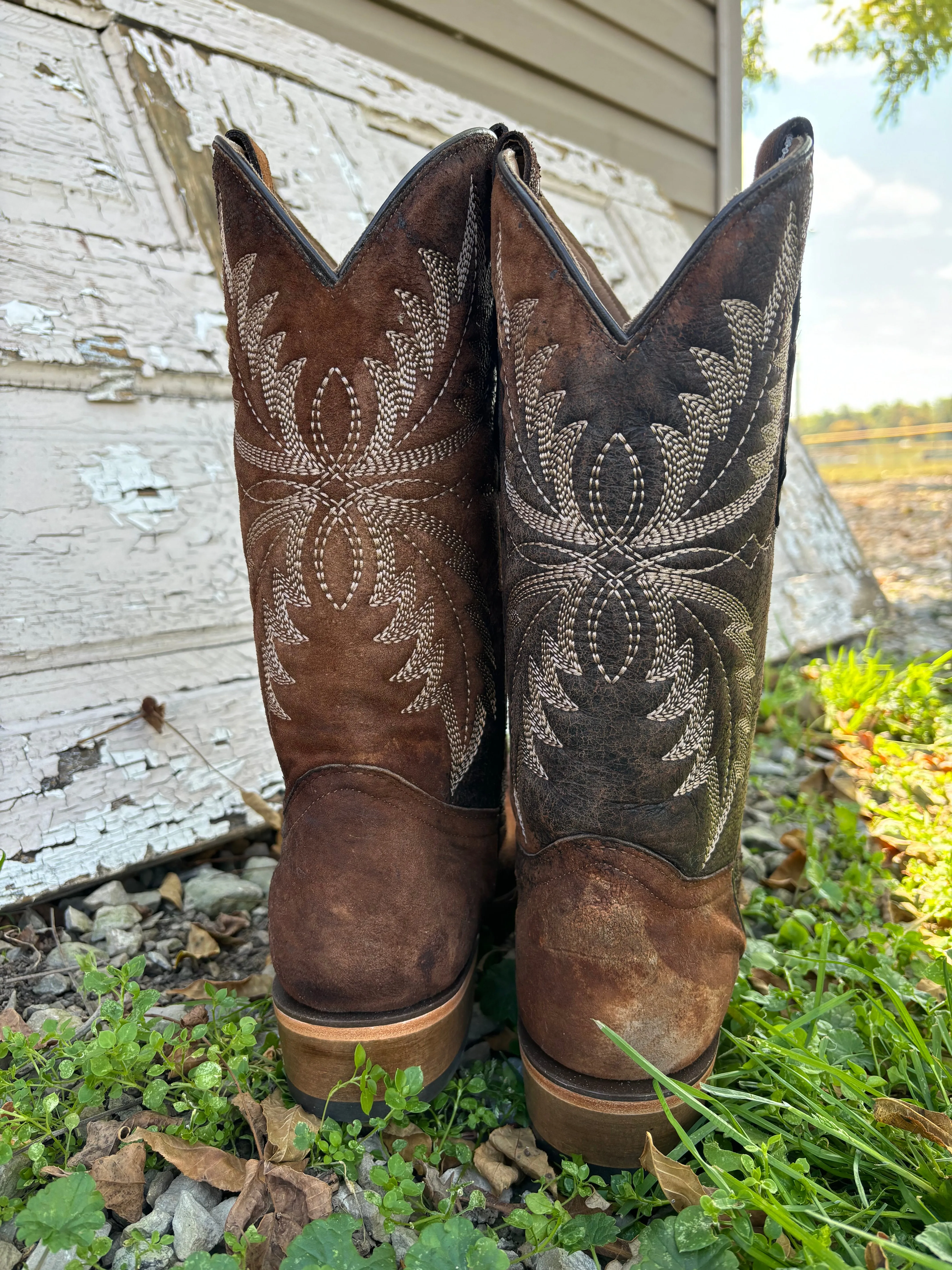 Corral Men's Chocolate Lamb Embroidered Narrow Square Toe Cowboy Boots C4023