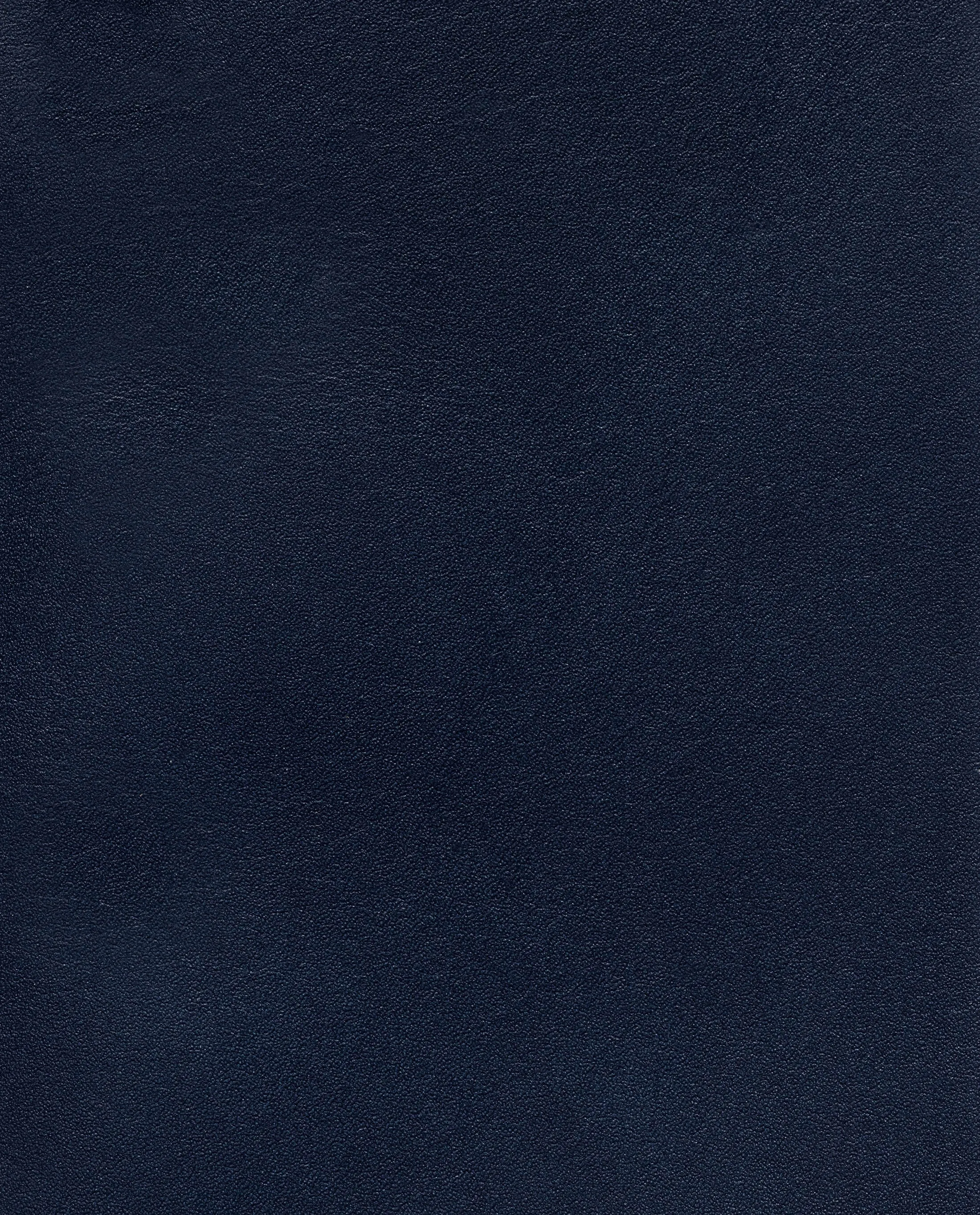 Dark Blue Fine Calf Plain Tip Blake Oxfords
